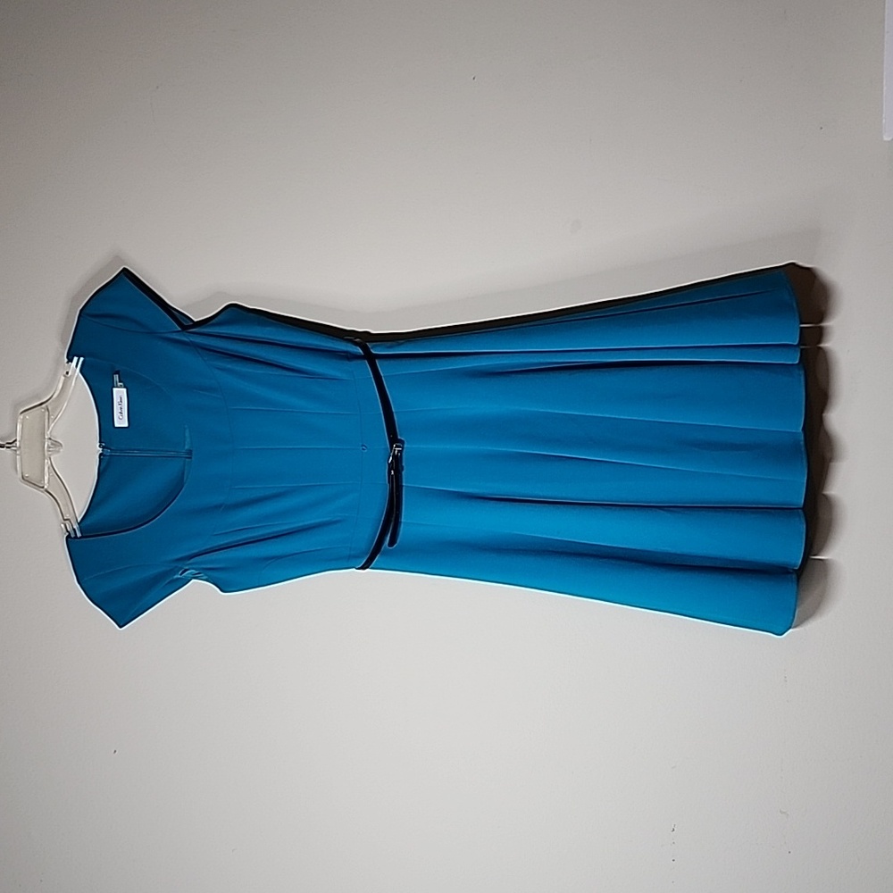 Calvin Klein Cap Sleeve Fit & Flare Scoop Neck dress Size 2